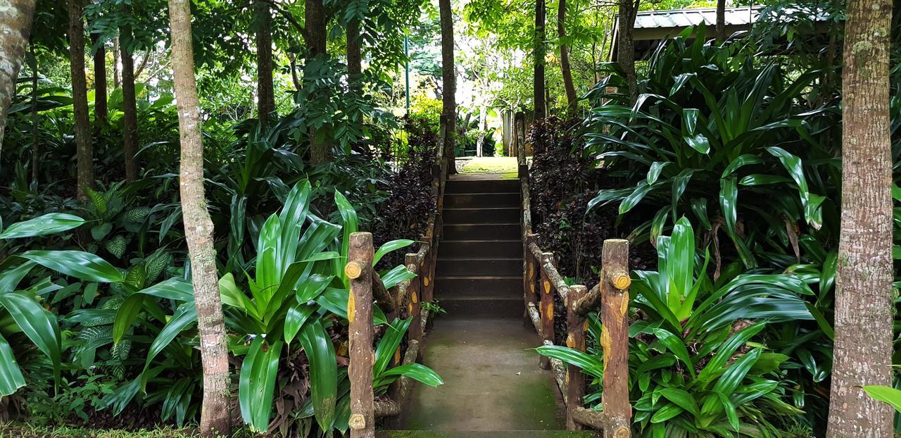 Tagaytay Summer House Tagaytay City Eksteriør bilde